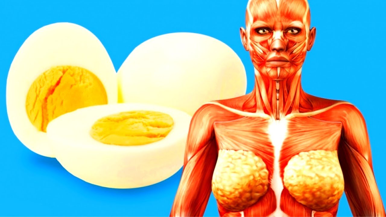 What Happens to Your Body When You Start Eating 2 Eggs a Day