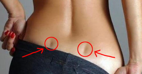 15 Interesting Facts About Back Dimples You Probably Didn't Know – David  Hall – Freelance Writer
