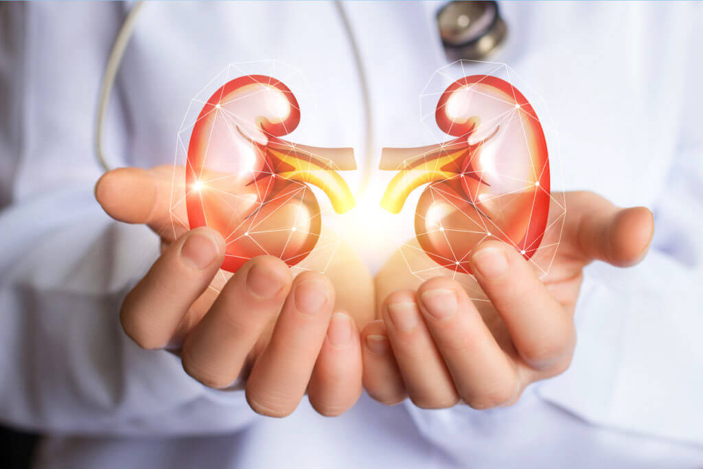 Preventing Kidney Disease: Early Detection, and Risk Reduction - Associates in Nephrology, PC